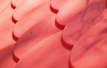 Tregonce plastic roof costs